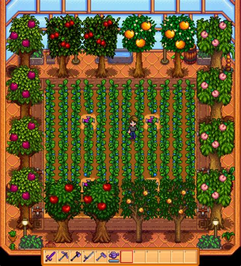 Plant 5 trees on the left and right of the farmable area and 4 on the top and bottom. . Greenhouse fruit trees stardew
